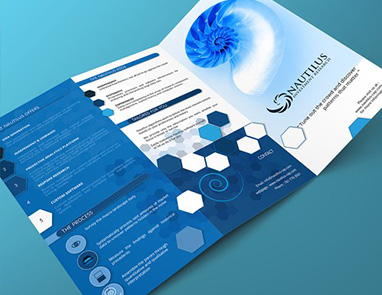 Trendy Trifold Brochures